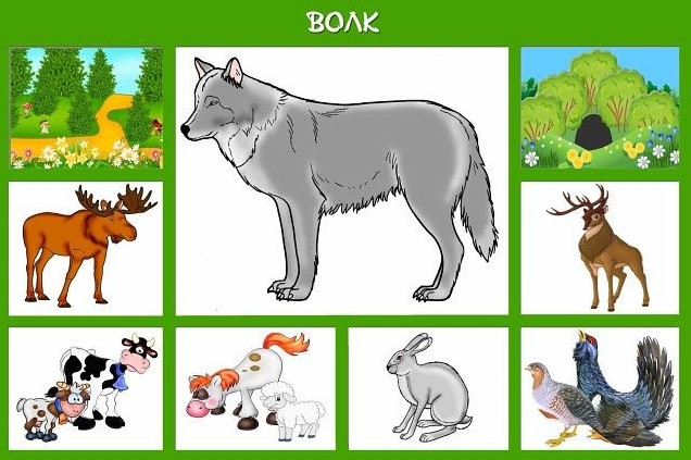 Фото Картинки: кто где живет?!