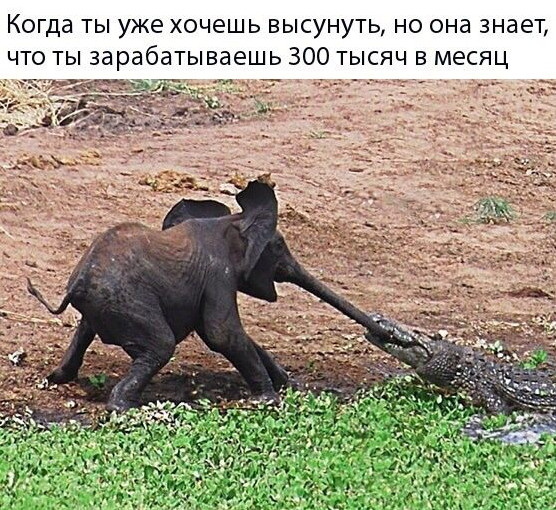 Мемы: витамины пили, нет пропил зарплату, бабке, которой холодно +30