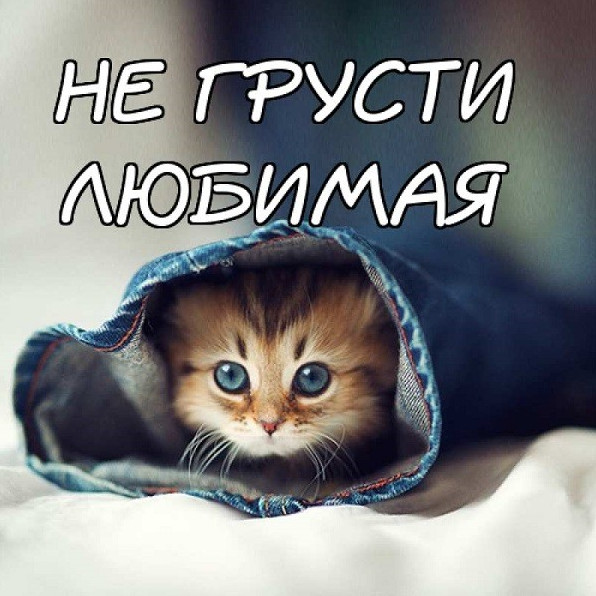 Фото открытки на тему: не грусти