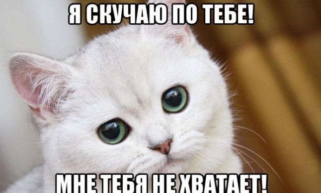 Я скучаю - смешные фото картинки с надписью