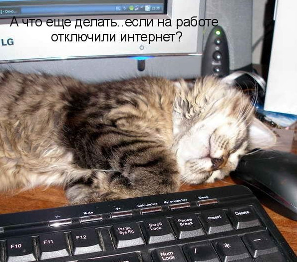 Приколы и фото картинки про программистов