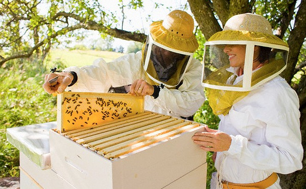 Фото Картинки пчеловод