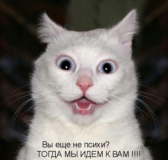 Фото Картинки про психов