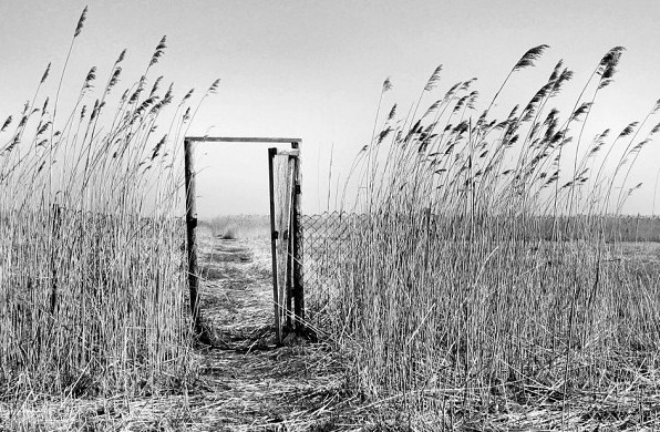 Фото Картинки пустота