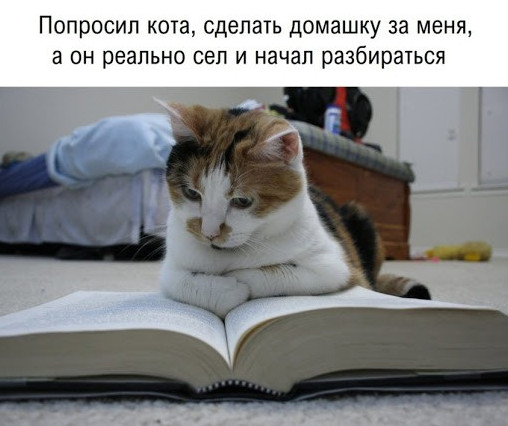 Фото картинки ржака