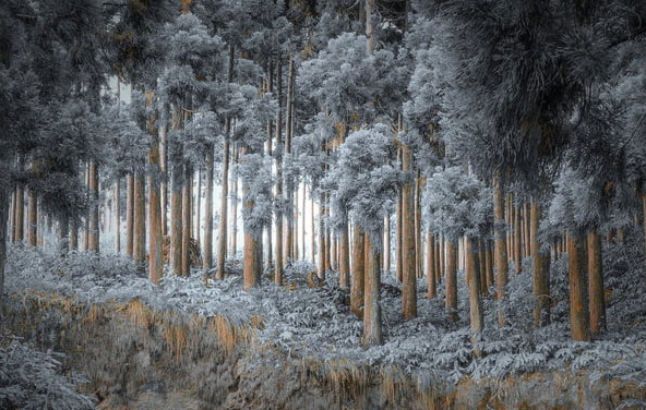 Красивые и смешные картинки про зиму