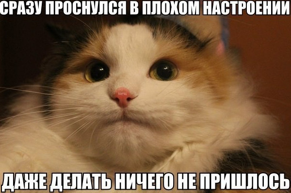 Открытки и картинки: плохое настроение