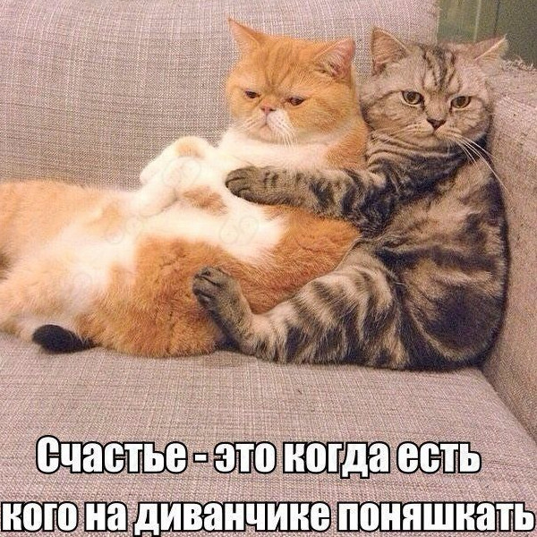 Ржачные картинки до слез