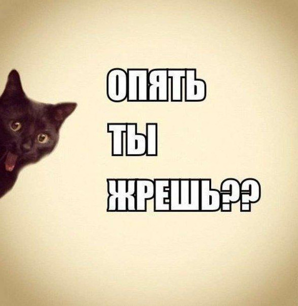Фото и Картинка «Жрешь»