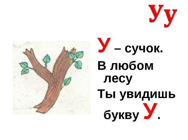 Фото и Картинки буквы У