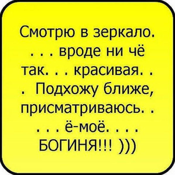 Фото и Прикольные цитаты в картинках