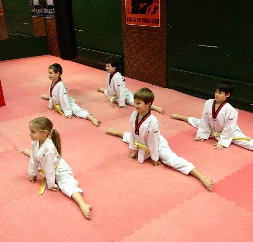 Фото картинки: тхэквондо