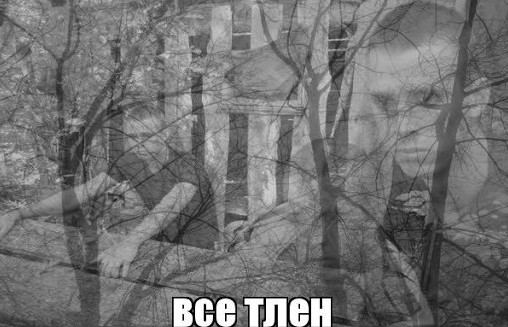 Фото картинки тлен