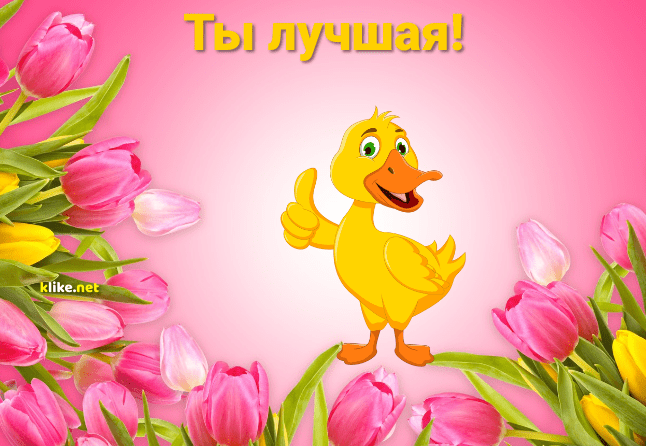 Фото картинки: ты лучшая