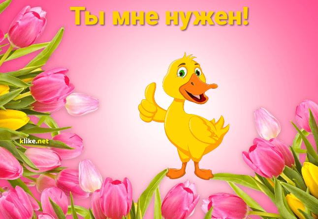 Фото картинки: ты мне нужен