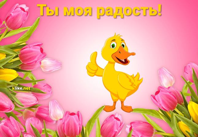 Фото картинки: ты моя радость