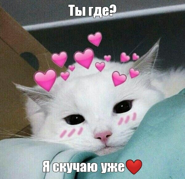 Фото картинки: уже скучаю