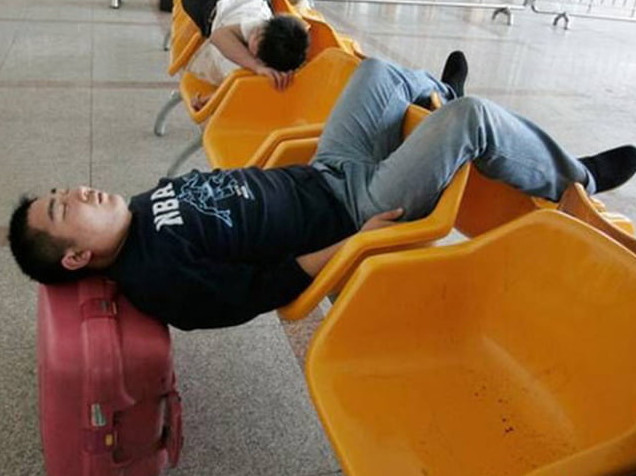 Фото приколы спящих людей и животных