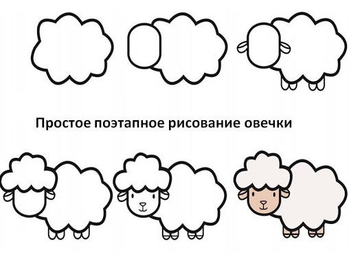 Картинки и Рисунки овечки для срисовки