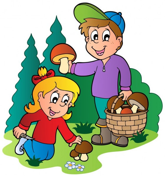 Картинки и Рисунки сбор грибов для срисовки