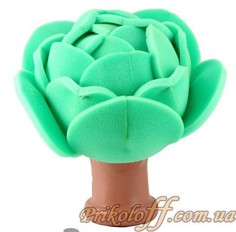 Красивые фото картинки капуста для детей на голову