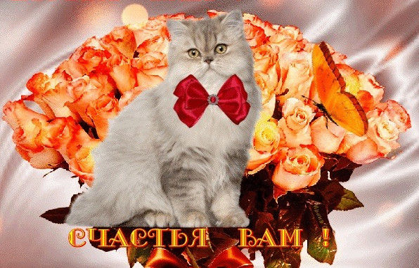 Красивые открытки: Счастья вам
