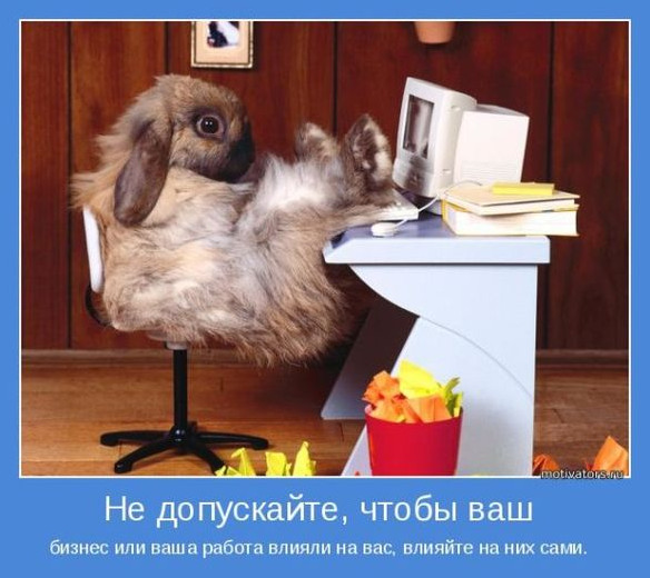 Очень смешные фото картинки про бездельников на работе