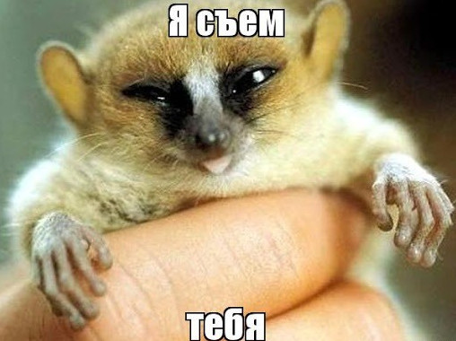Съем тебя - прикольные картинки