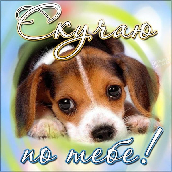 Скучаю - прикольные открытки