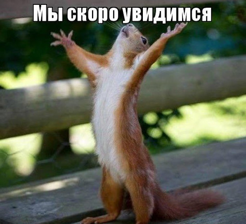 Увидимся - прикольные картинки