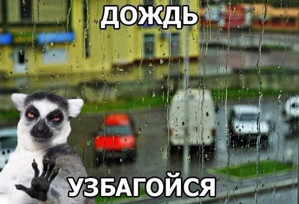Узбагойся - прикольные картинки