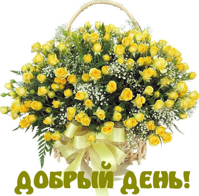 Добрый день - прикольные открытки