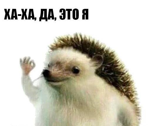 Фото картинки: ха ха ха