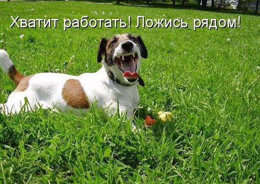 Фото картинки: хватит работать