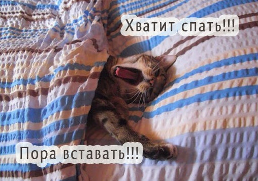 Фото картинки: хватит спать