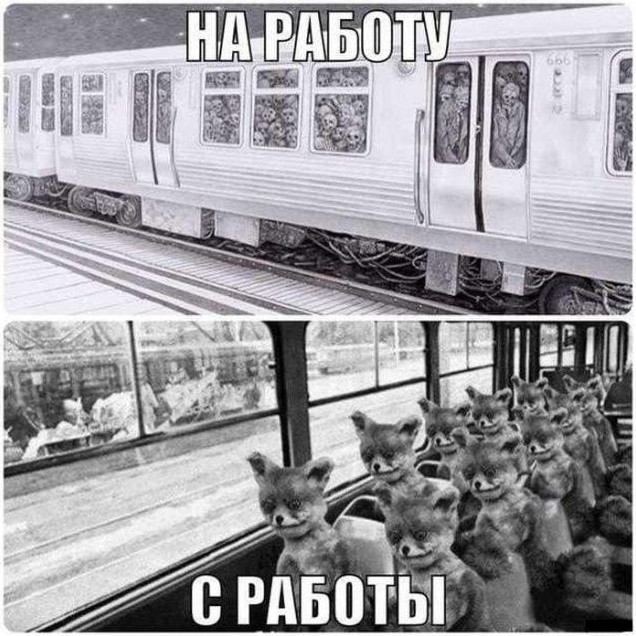 Фото приколы про работу
