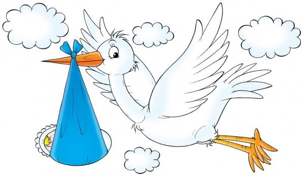 Картинки и Рисунки аиста для срисовки