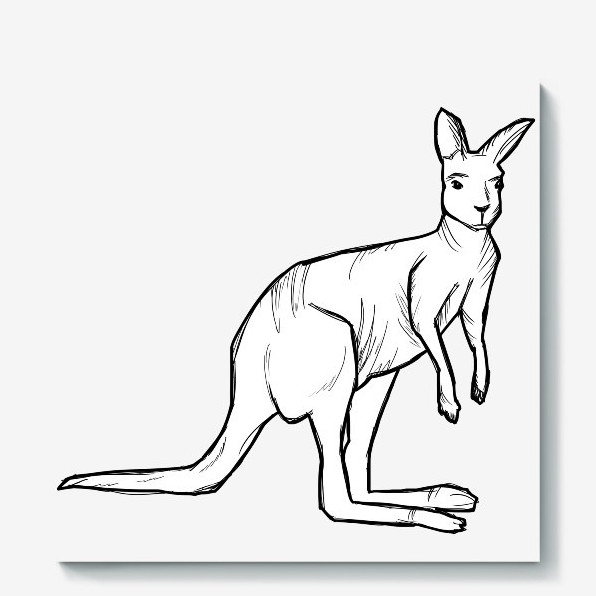 Картинки и Рисунки кенгуру для срисовки