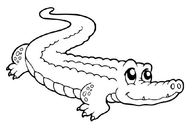 Картинки и Рисунки крокодила для срисовки