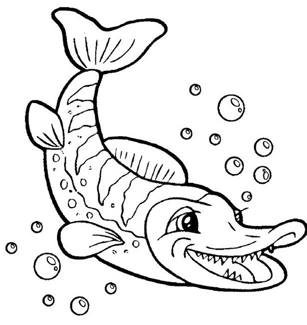 Картинки и Рисунки щуки для срисовки