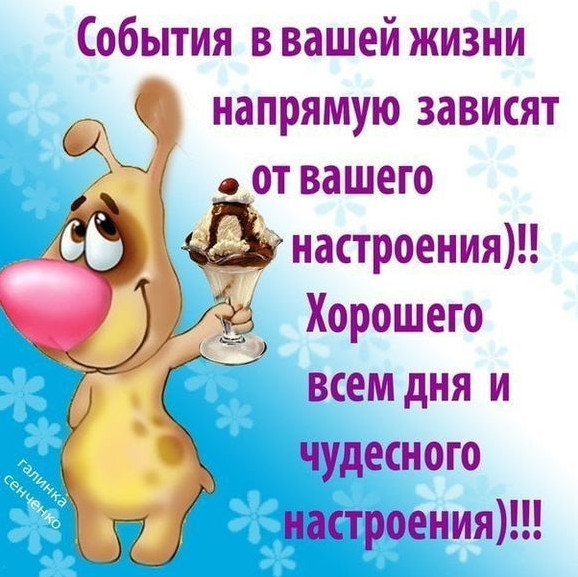 Красивые фото картинки пожеланий Позитива на весь день!