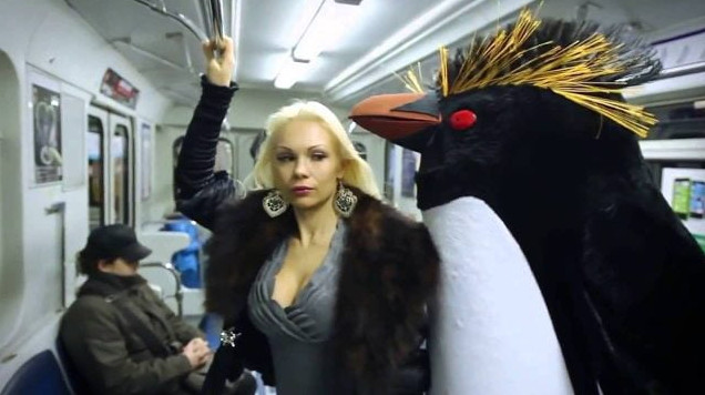 Приколы: Домашние фото - прикольные картинки