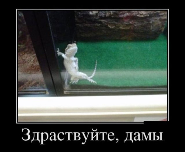 Приколы: Фото приколы с надписью