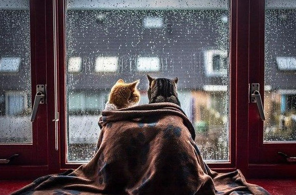 Уют - красивые картинки