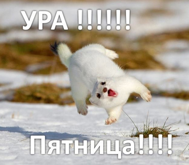 Ура, пятница! - красивые картинки